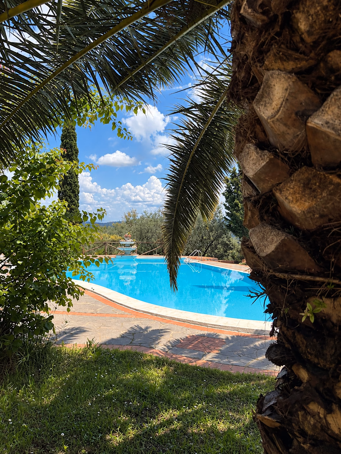 Piscina vista tra le palme
